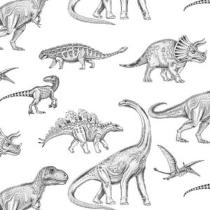 Papel Tapiz Little Dreams DRE402