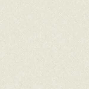 Papel Tapiz Concept CO1101
